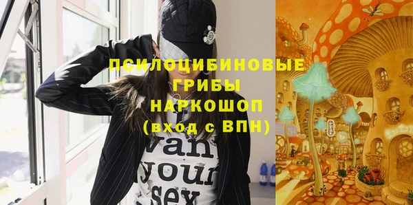 меф Вяземский
